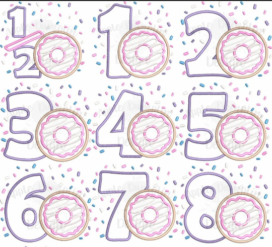 Donut Birthday Shirt, Donut Custom kids Shirt, Donut Applique Embroidered T-Shirt, Personalized T-Shirt