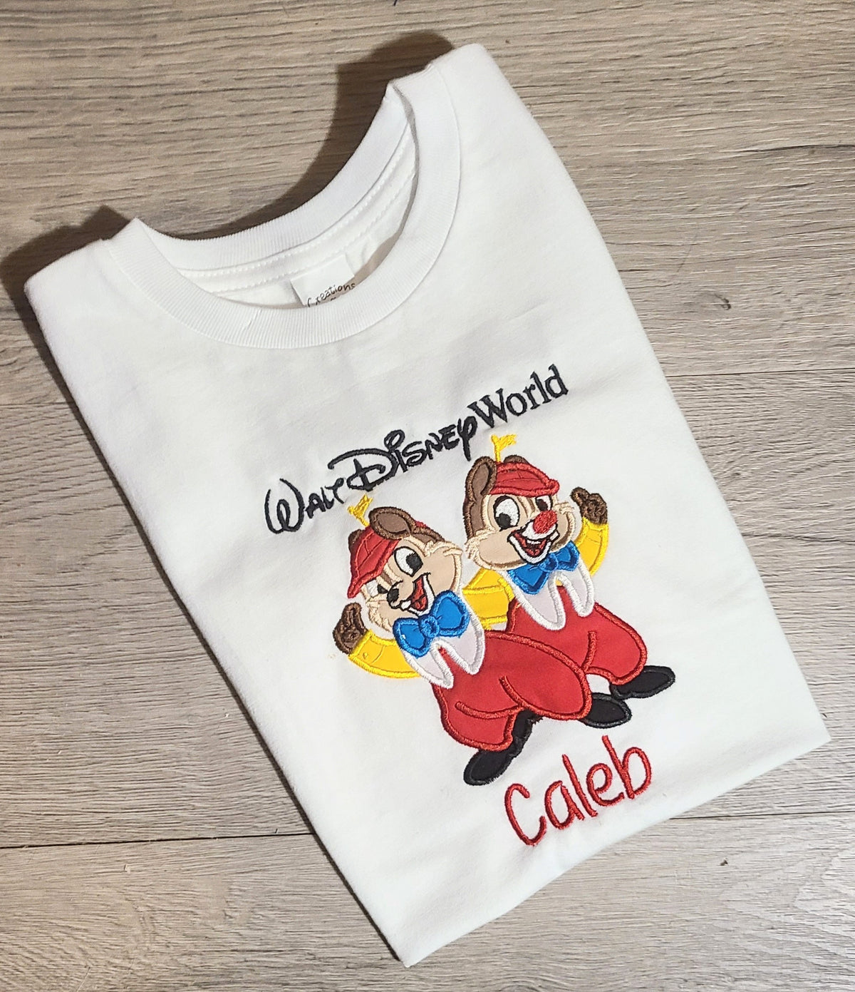 Chip and Dale Vacation Applique Shirt, Tweedledee and Tweedledum Embroidered Custom Kids Shirt, Disney Applique Embroidered T-Shirt, Personalized T-Shirt