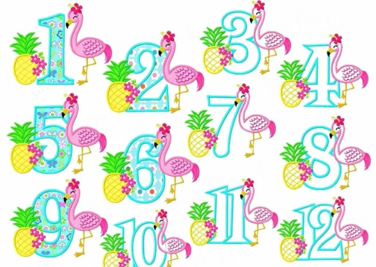 Pineapple Flamingo Birthday Shirt, Flamingo Custom kids Shirt, Pineapple Shirt, Applique Embroidered T-Shirt, Personalized T-Shirt